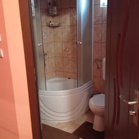 Csergo Ildiko Vendeghaz Lăzarea