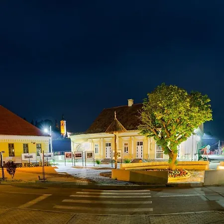 Csergo Ildiko Vendeghaz Gæstehus Lăzarea